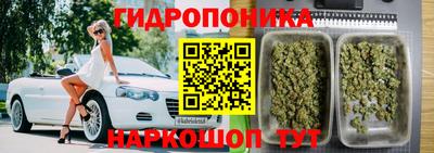 индика Кумертау