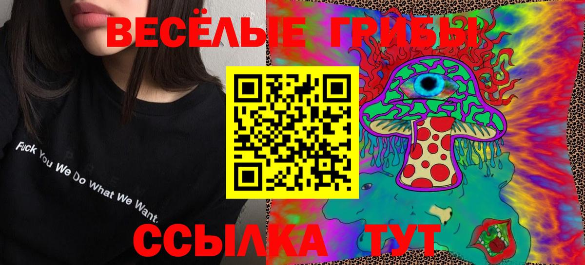 Галлюциногенные грибы Psilocybine cubensis Чехов
